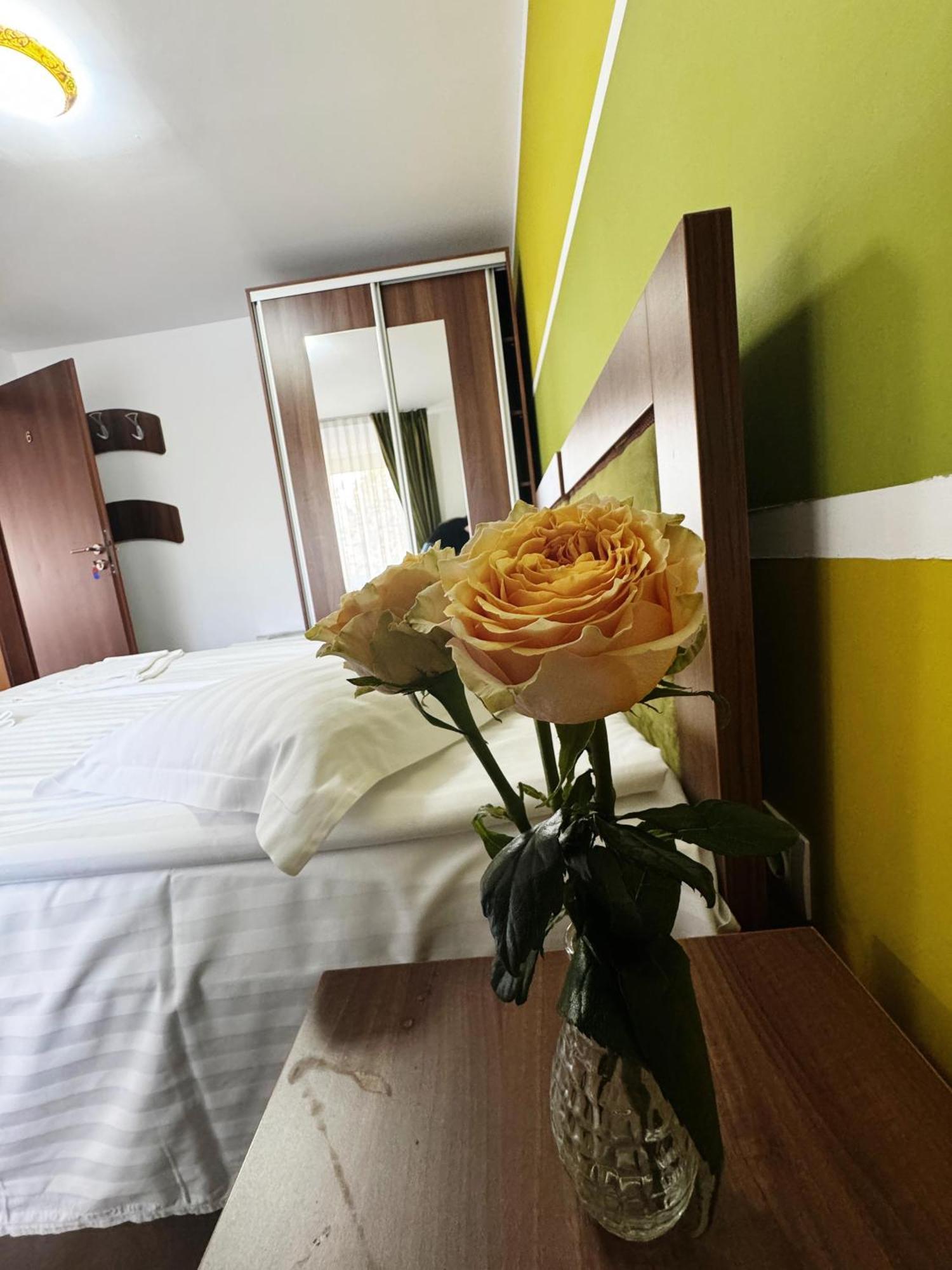 Hotel Carpathian Newstar Sybin Zewnętrze zdjęcie
